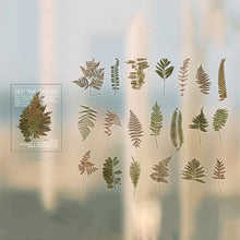 Laden Sie das Bild in den Galerie-Viewer, PET-Aufkleber-Set der Garden-Serie