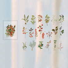 Laden Sie das Bild in den Galerie-Viewer, PET-Aufkleber-Set der Garden-Serie