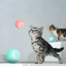 Laden Sie das Bild in den Galerie-Viewer, 【großer Verkauf】Intelligenter Elektrischer Selbstrollender Katzenspielzeugball