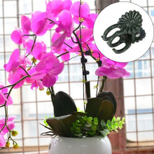 Laden Sie das Bild in den Galerie-Viewer, Befestigungsclip für Pflanzenblumen an Stützstangen