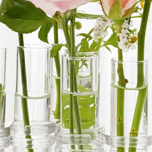 Laden Sie das Bild in den Galerie-Viewer, Kreative Reagenzglasvase aus Glas