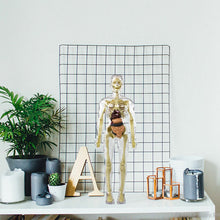 Laden Sie das Bild in den Galerie-Viewer, Kinderanatomiemodell Skelett 3D-Modell des menschlichen Torsos