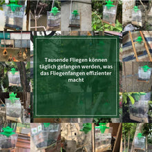 Laden Sie das Bild in den Galerie-Viewer, Ungiftiger Fliegenfänger