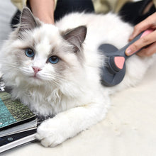 Laden Sie das Bild in den Galerie-Viewer, Haustier Nadelkamm Für Hunde und Katzen