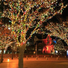 Laden Sie das Bild in den Galerie-Viewer, Solarbetriebene LED-Lichterkette