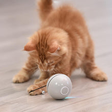Laden Sie das Bild in den Galerie-Viewer, (🌲Weihnachtsangebot - 48 % RABATT) Freietaube Laser Katzenball mit Feder🎉