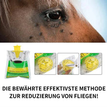 Laden Sie das Bild in den Galerie-Viewer, Ungiftiger Fliegenfänger