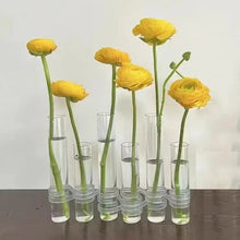 Laden Sie das Bild in den Galerie-Viewer, Kreative Reagenzglasvase aus Glas