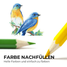 Laden Sie das Bild in den Galerie-Viewer, Öliges Buntstift-Set