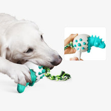 Laden Sie das Bild in den Galerie-Viewer, Dinosauriereier Hundekauspielzeug