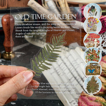 Laden Sie das Bild in den Galerie-Viewer, PET-Aufkleber-Set der Garden-Serie