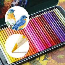 Laden Sie das Bild in den Galerie-Viewer, Öliges Buntstift-Set