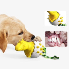 Laden Sie das Bild in den Galerie-Viewer, Dinosauriereier Hundekauspielzeug
