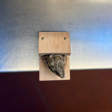 Laden Sie das Bild in den Galerie-Viewer, 🦪Klammer zum Austernschälen
