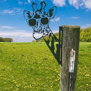 Bauerhof Metall Kunst Außendekoration