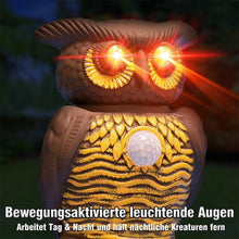 Laden Sie das Bild in den Galerie-Viewer, Ultraschall-Schädlingsbekämpfer
