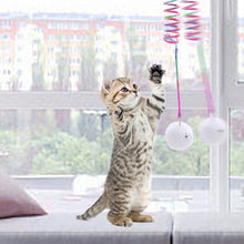Laden Sie das Bild in den Galerie-Viewer, Hängendes Frühlings-Plüschball Katzen Spielzeug
